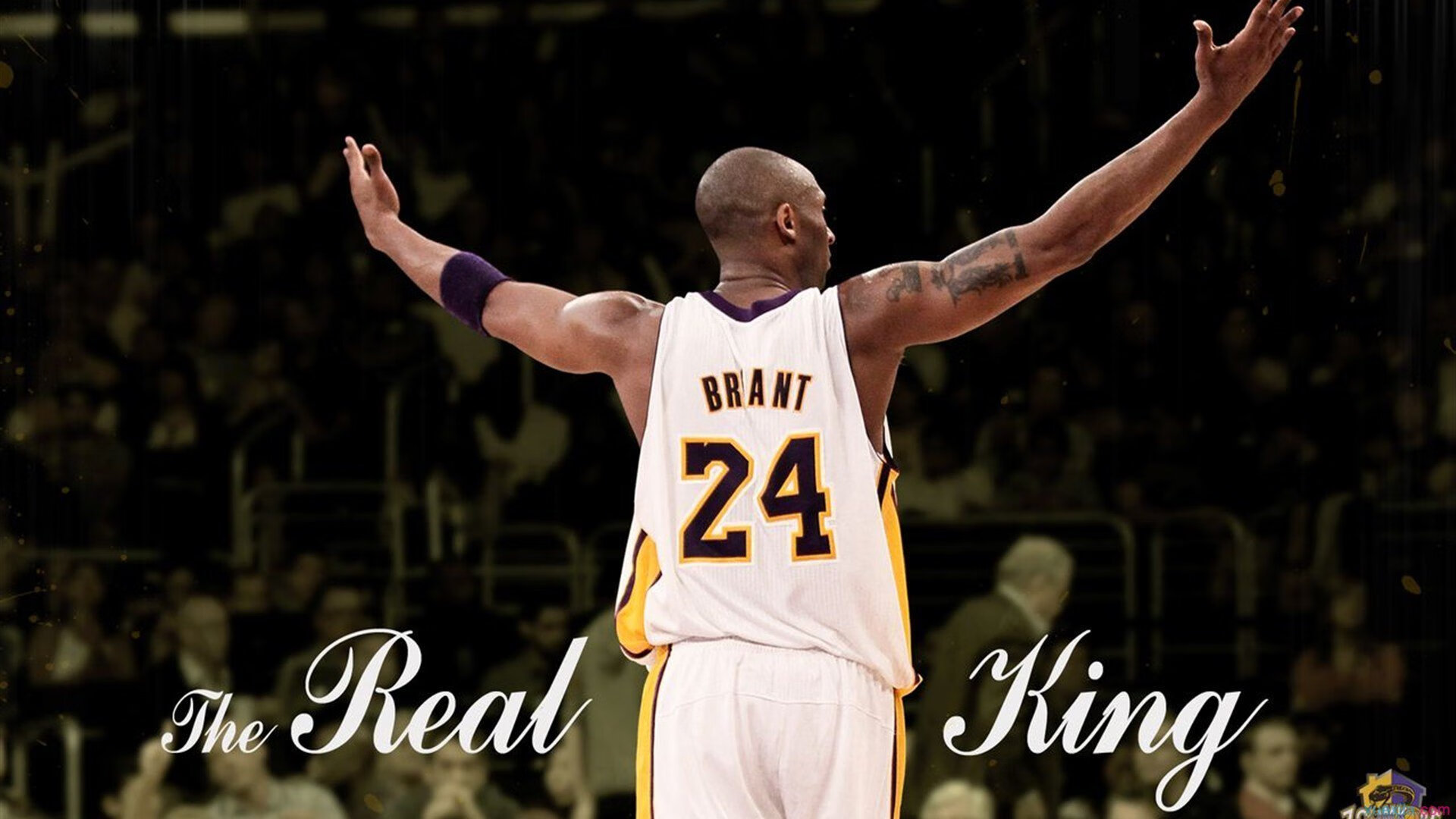 康纳·麦克戴维荣膺季后赛MVP，麦克·康纳利